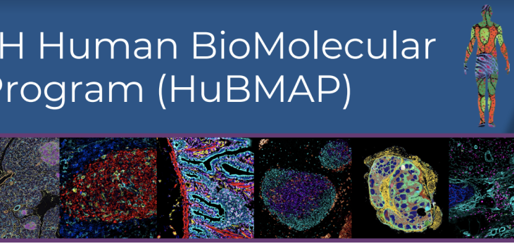 The NIH Human BioMolecular Atlas Program (HuBMAP)